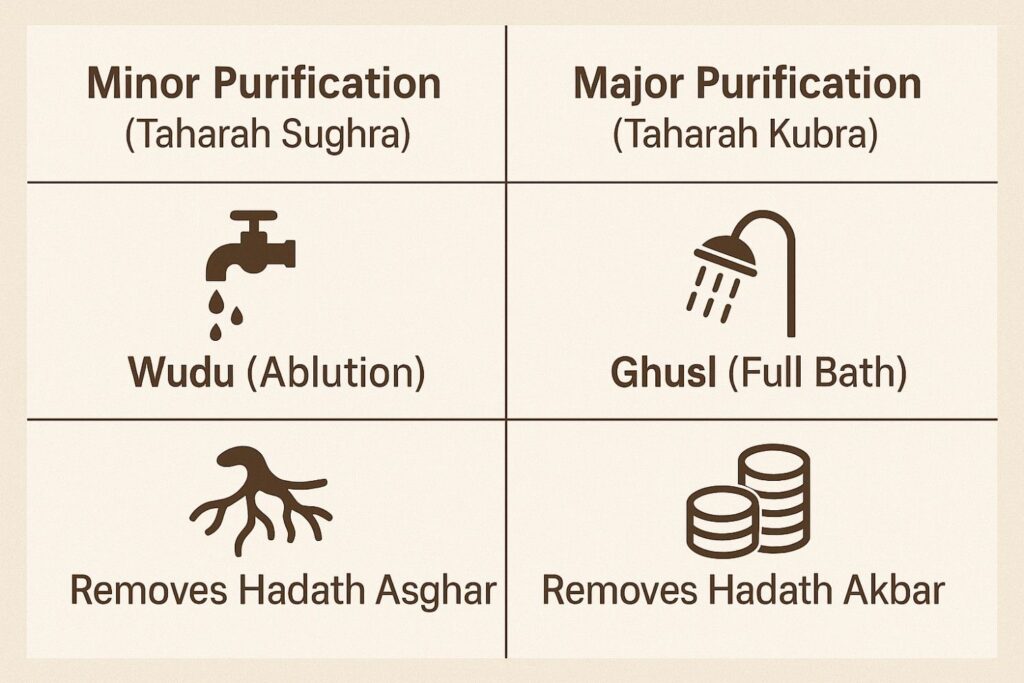 Purpose of Human Creation 8 Minor-and-Major-Purification